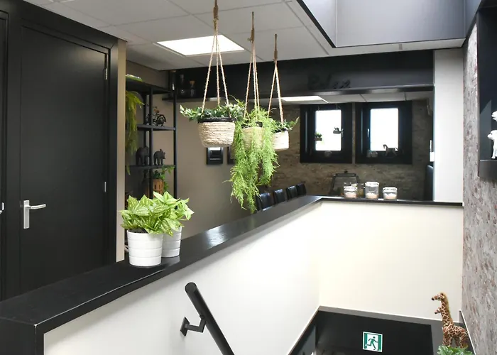 Prachtige Tot 10 Pers Nb Alphen (North Brabant)